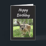 Hoppy Birthday Fun Kangaroo Australia Animal art Card<br><div class="desc">Fun Kangaroo Hoppy Birthday  Australian Animal Humour blank inside card</div>