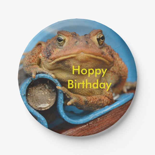 Hoppy Birthday Toad Paper Plate (Front)