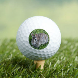 Hoppy bunny golf balls