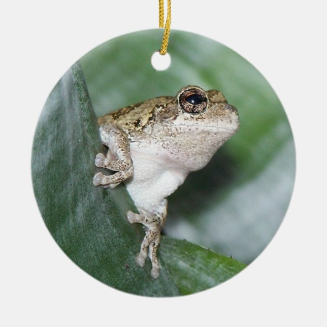 'Hoppy' Holidays! Ceramic Tree Decoration (Front)