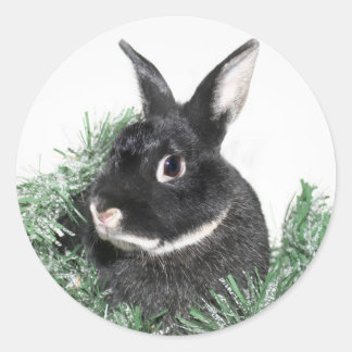 Hoppy Holidays Classic Round Sticker