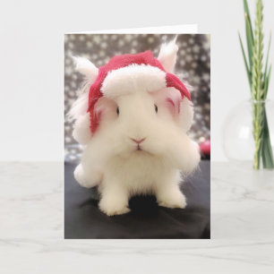 "Hoppy Holidays" greeting card