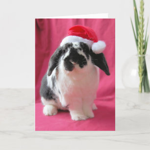 Hoppy Holidays Holiday Card