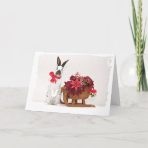 Hoppy Holidays Holiday Card