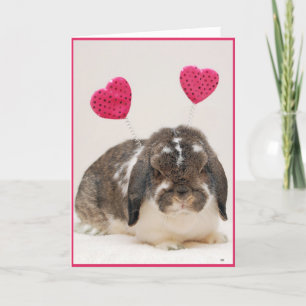 Hoppy Valentine's Day Holiday Card