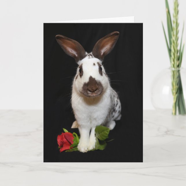 "Hoppy Valentine's Day!" Holiday Card (Front)