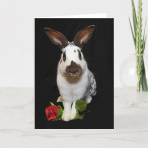 "Hoppy Valentine's Day!" Holiday Card