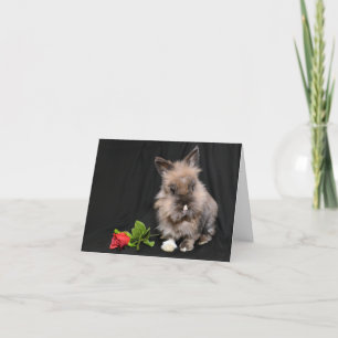 Hoppy Valentine's Day Holiday Card