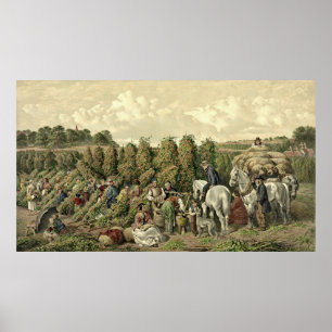 Hops Harvest 1857 Poster