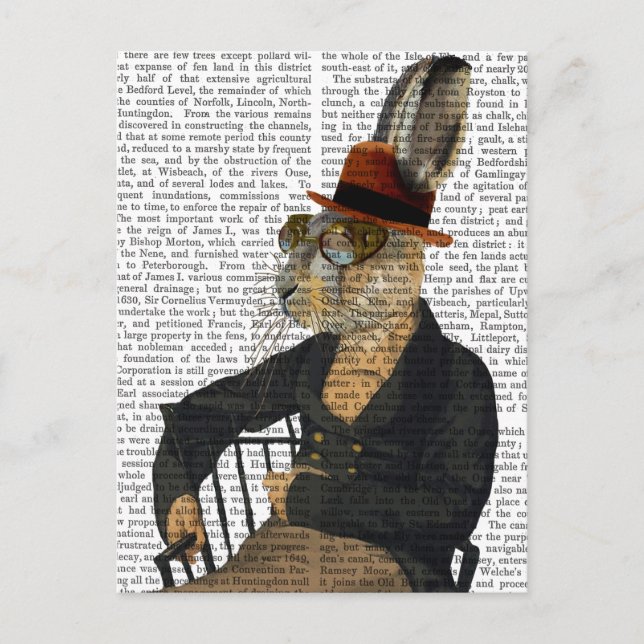 Horatio Hare On Chair Postcard (Front)