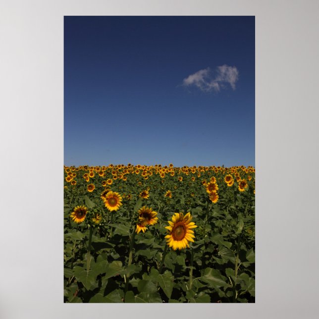 Horizon Poster (Front)