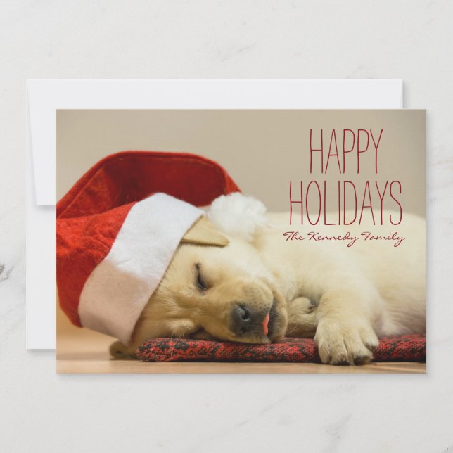 Horizontal image of a two months old Labrador Holiday Card (Front)