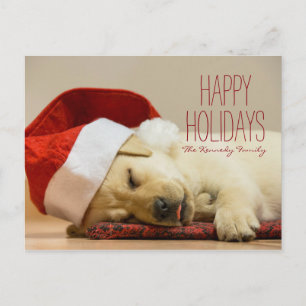 Horizontal image of a two months old Labrador Holiday Postcard