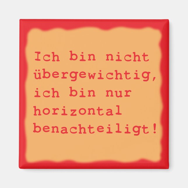 horizontal magnet (Front)