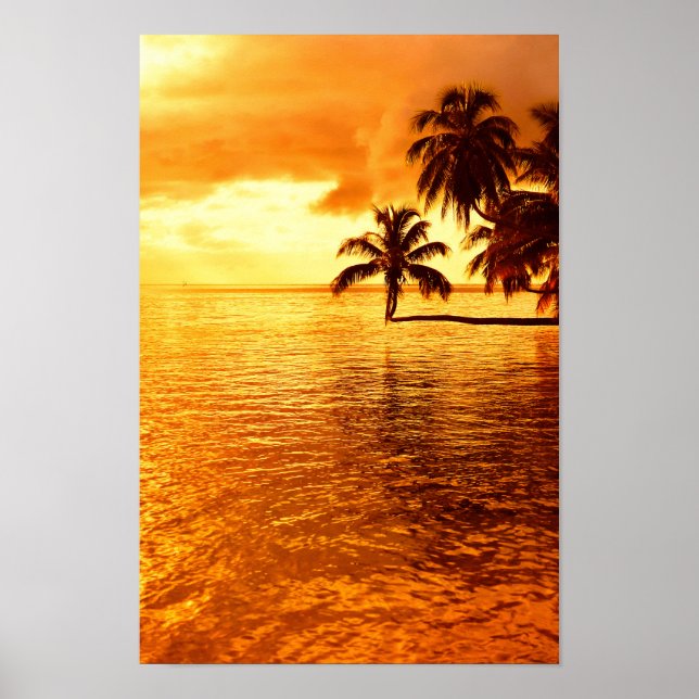 Horizontal palm tree sunset poster (Front)