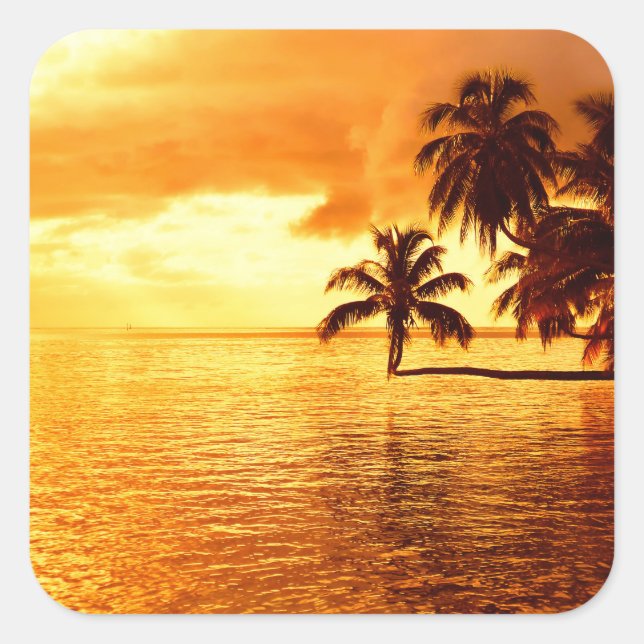 Horizontal palm tree sunset sticker (Front)