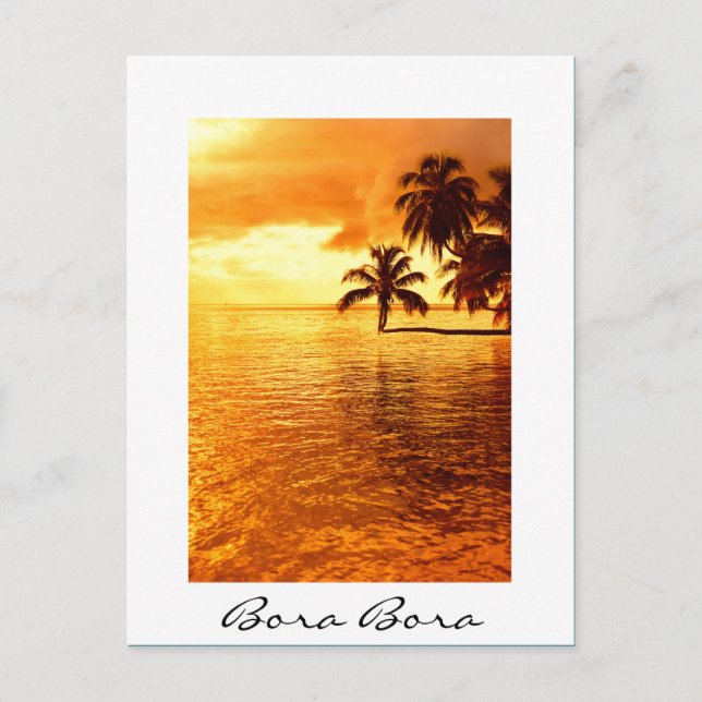 Horizontal palm tree sunset white text postcard (Front)