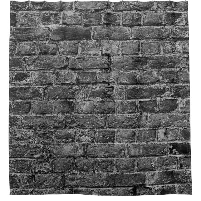 horizontal part of black painted brick wallwall,br shower curtain (Front)