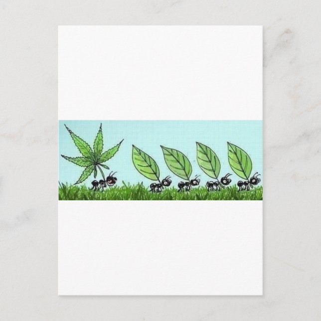 hormiga colocada postcard (Front)