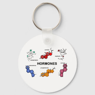 Hormones Key Ring