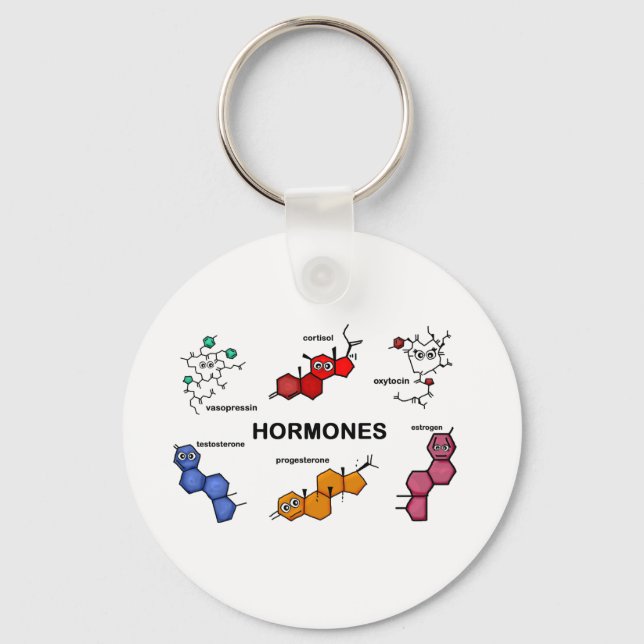 Hormones Key Ring (Front)
