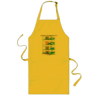 Hormones Of The Menstrual Cycle (Menstruation) Long Apron