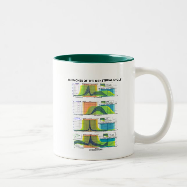 Hormones Of The Menstrual Cycle (Menstruation) Two-Tone Coffee Mug (Right)