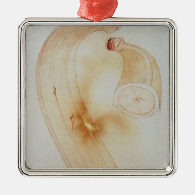 Horn Plantain Metal Tree Decoration (Front)