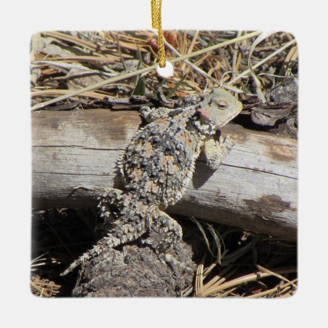 Horned Lizard Ceramic Ornament (Front)