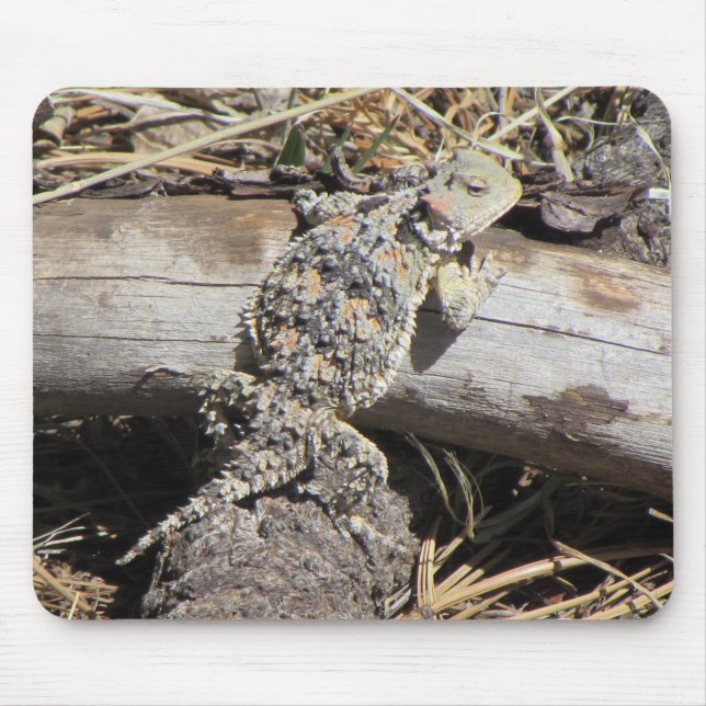 Horned Lizard Mouse Mat (Front)