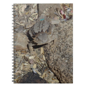 Horned Lizard Notebook