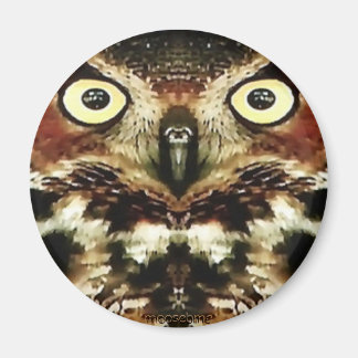 Horned Owl Magnet