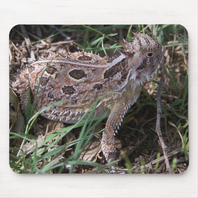 horned toad mouse mat (Front)
