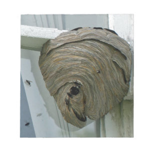 Hornets Nest Notepad