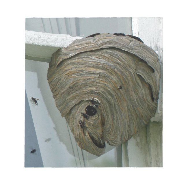 Hornets Nest Notepad (Front)