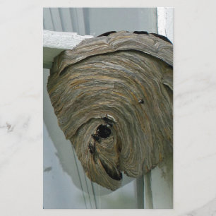 Hornets Nest Stationery