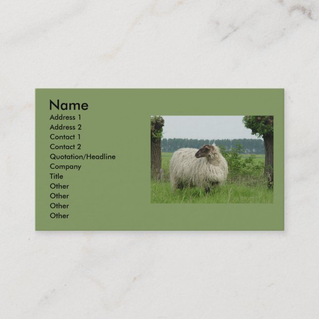 Hornless sheep business card (Front)