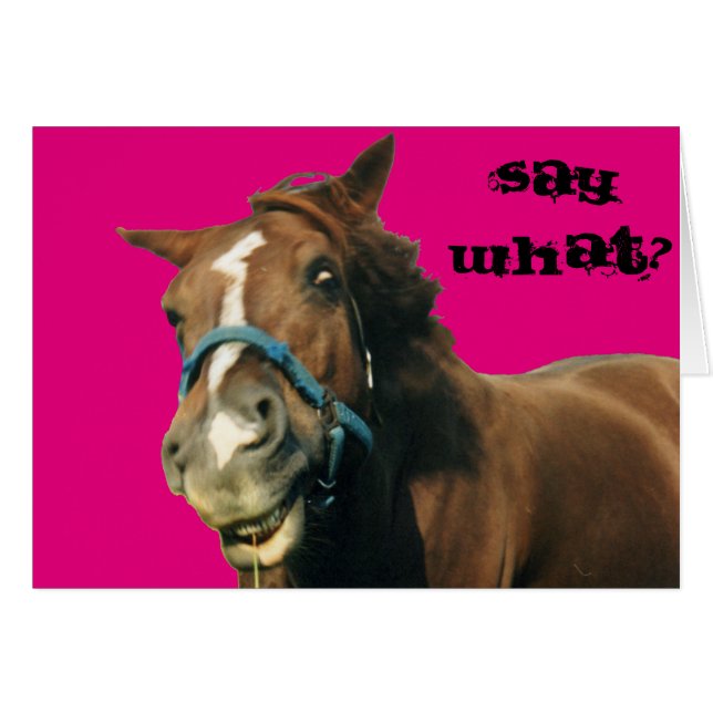 Horse (Front Horizontal)