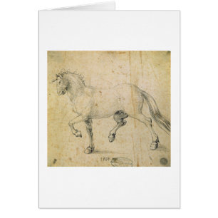 Horse, 1503 (pen and ink on paper)