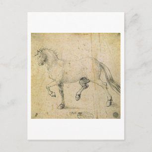 Horse, 1503 (pen and ink on paper) postcard