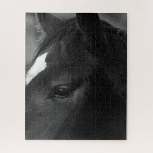 Horse 16x20 520pc jpcn jigsaw puzzle