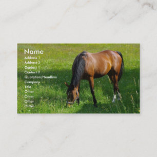 Horse #1 business card