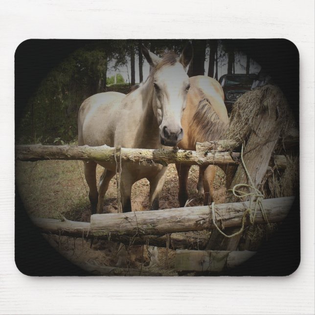 HORSE 1 Mousepad (Front)