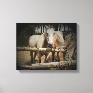 Horse 1 Stretched Canvas Print