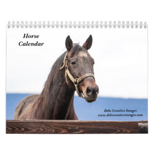 Horse 2025 calendar
