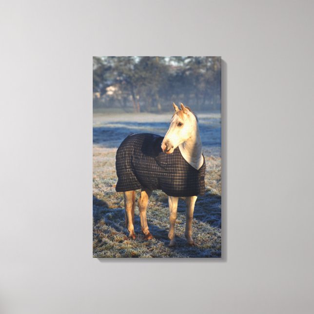 horse 2 canvas print (Front)