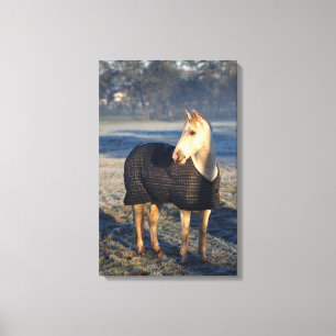 horse 2 canvas print