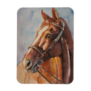 Horse 2 magnet