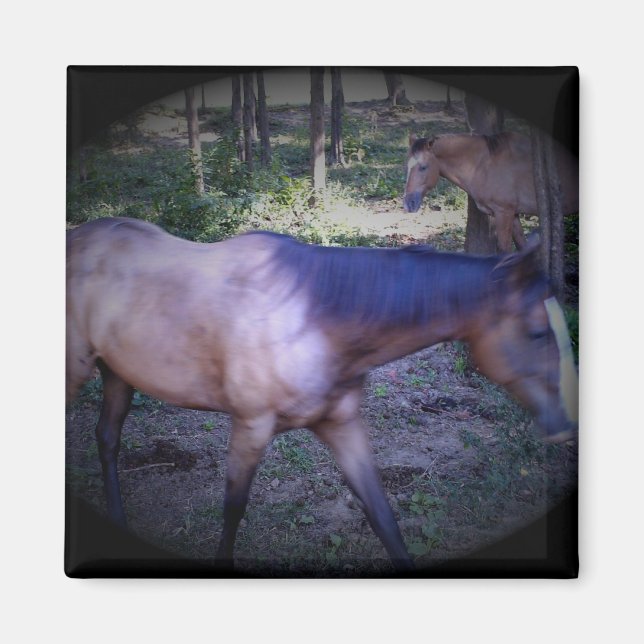 Horse 2 Magnet (Front)