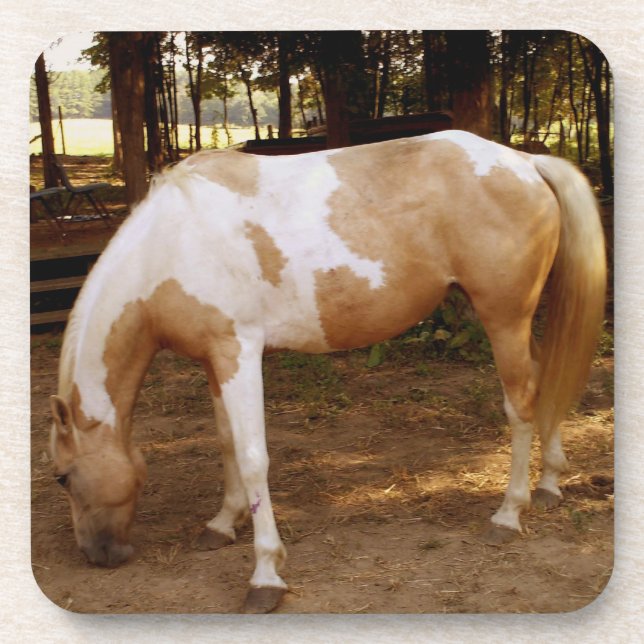 Horse 3 coaster (Front)
